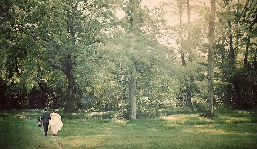 Wedding couple with guitar walking into the tall woods. Photographed by Oh Dear Studio Melody Lin