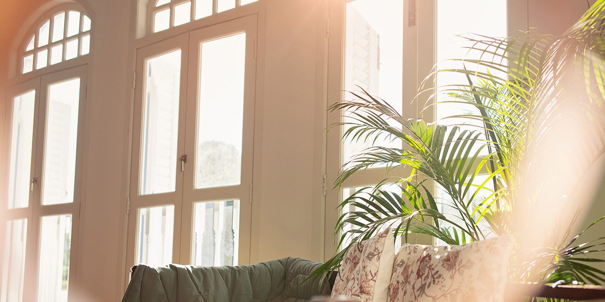 OhDearStudio-Review Tall Glass French windows of Oh Dear Studio with natural light and greenery