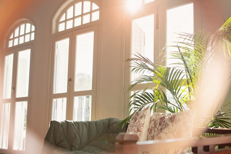 Tall Glass French windows of Oh Dear Studio with natural light and greenery