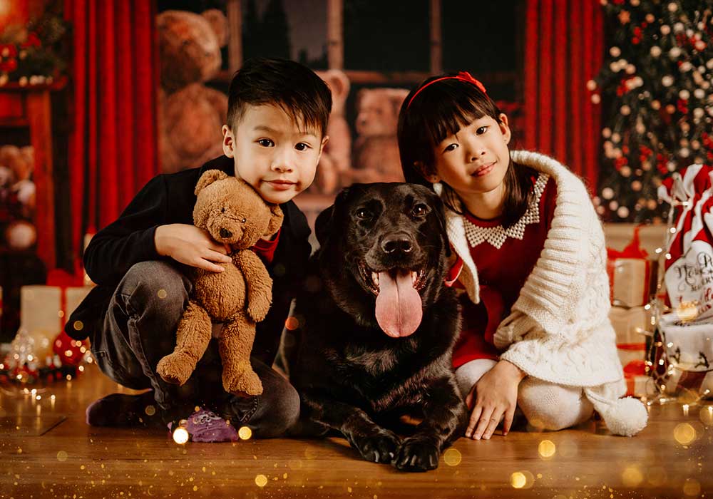 Christmas kids pets photography studio