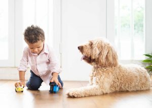 toddler and pet dog photoshoot