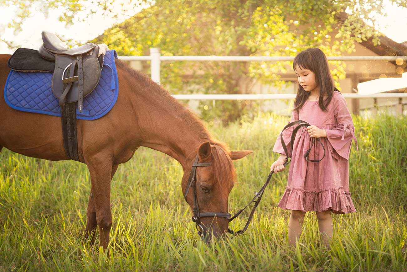 horse photoshoot outdoor singapore