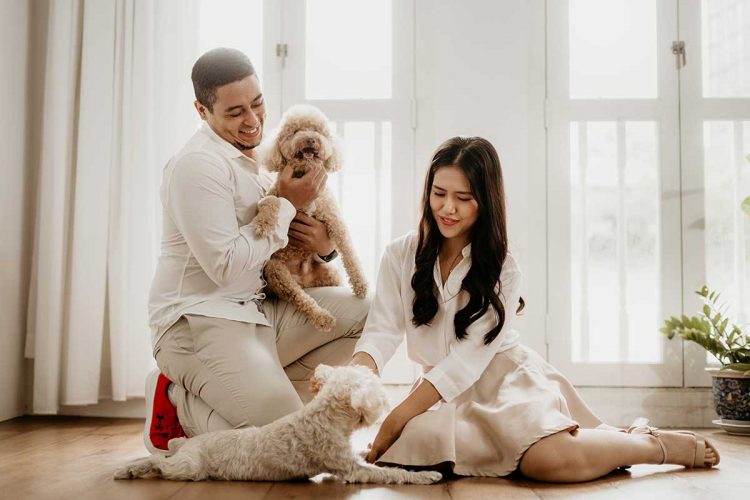 couple-photoshoot-with-pet-in-studio A couple and their two dogs having a photoshoot