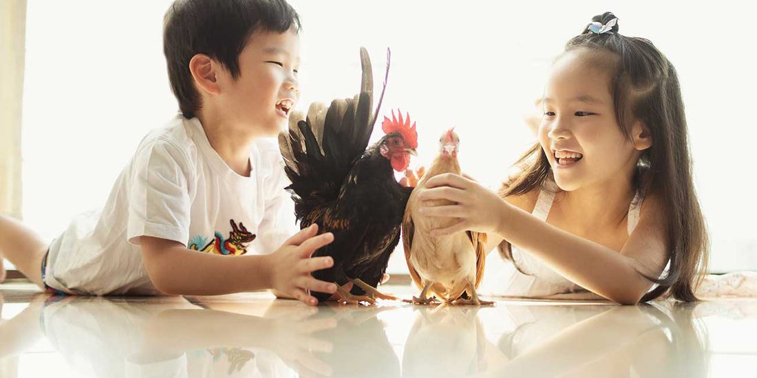 pet-chicken-photography-singapore siblings with their pet chicken