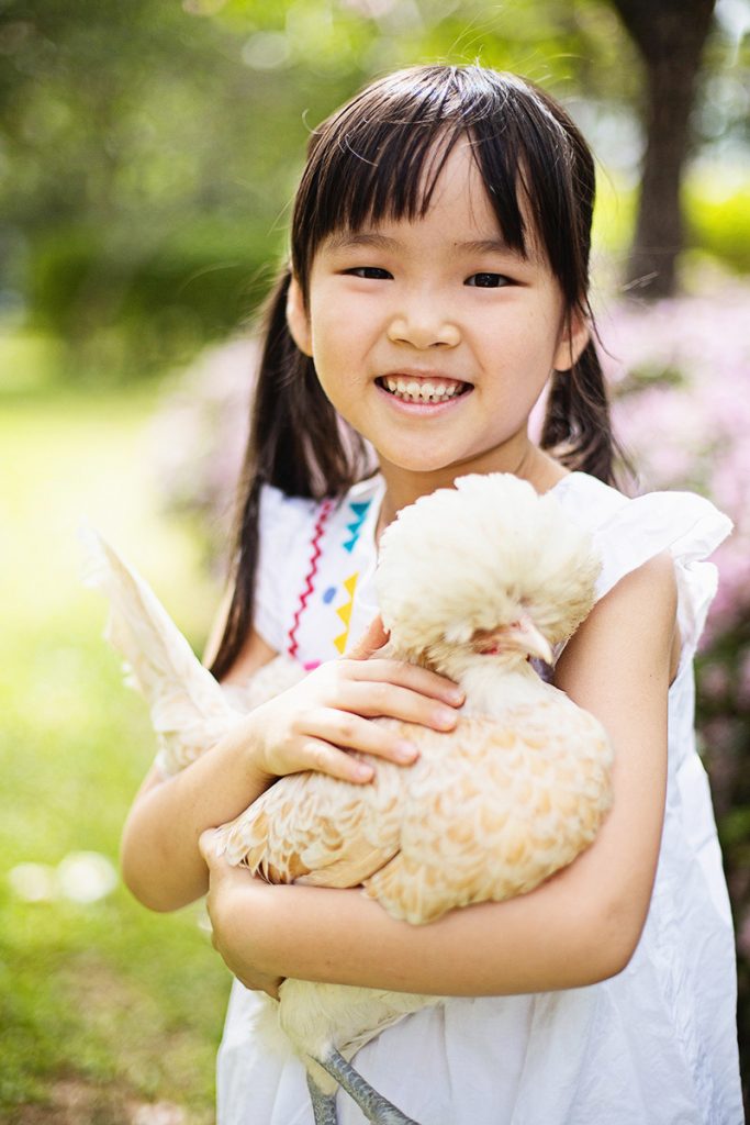 little girl with pet polish hen outdoor photoshoot