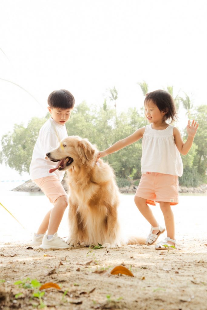 sentosa tanjong beach two toddler sibling and their pet dog