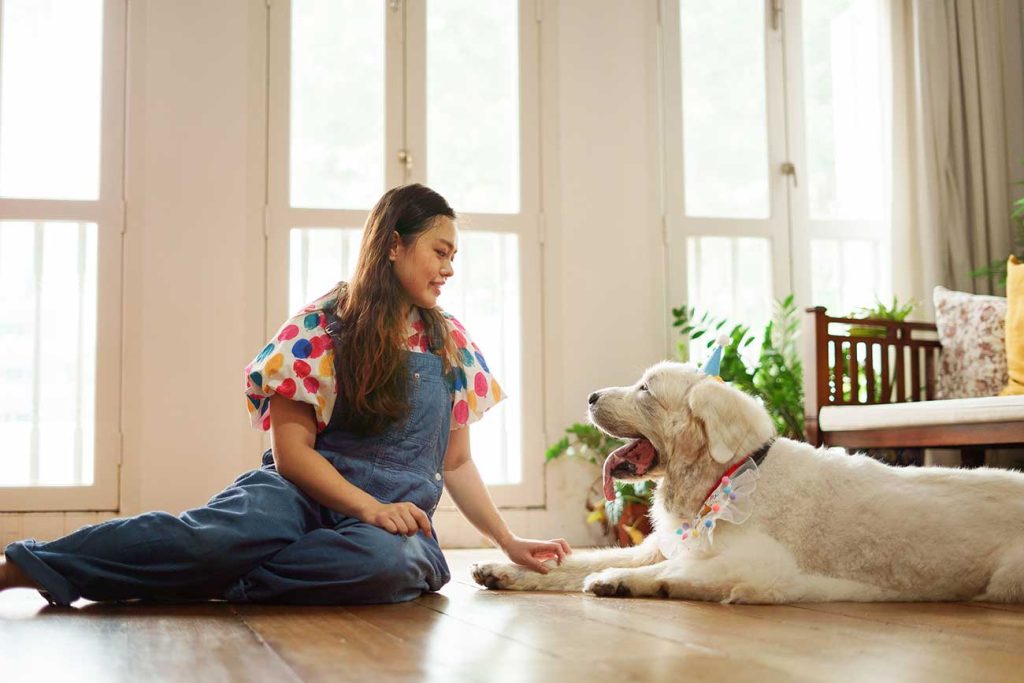 Pyrenean mountain dog photoshoot studio in Singapore pet