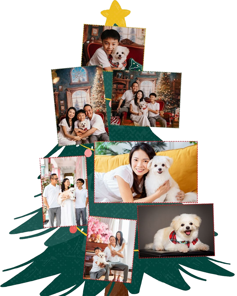 Christmas photography studio 2024 family pet friendly