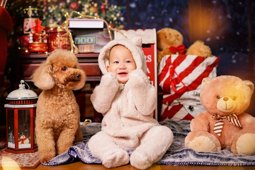 pet friendly christmas photo studio