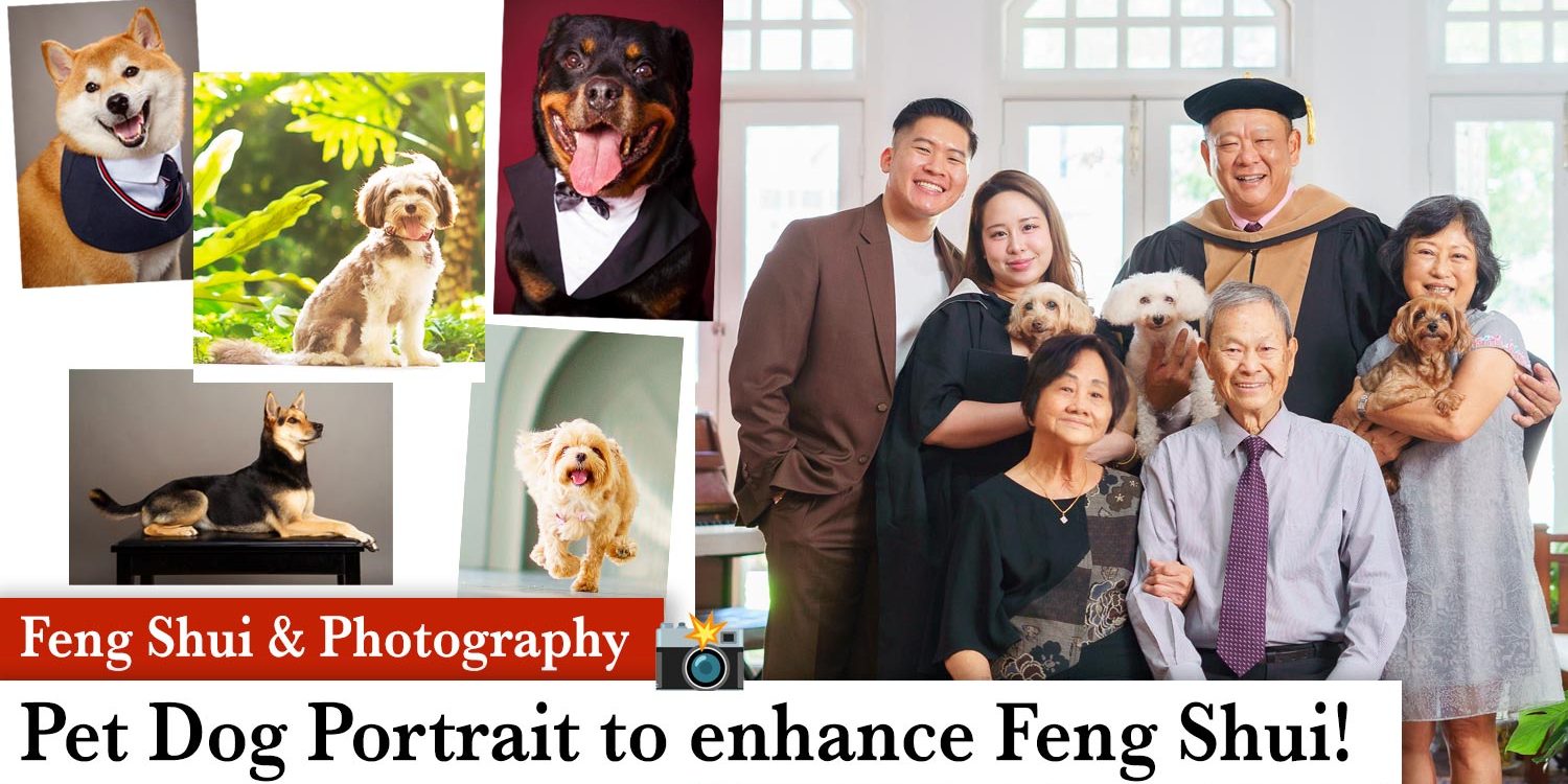 fengshui-dog-photoshoot feng shui dog photoshoot family studio