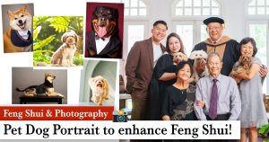 feng shui dog photoshoot family studio