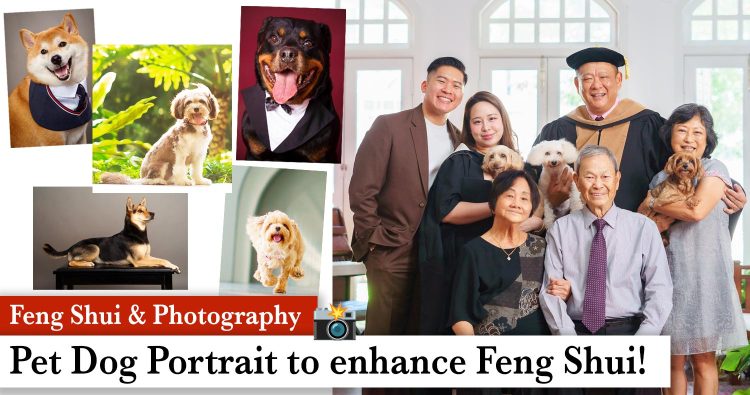 fengshui-dog-photoshoot feng shui dog photoshoot family studio