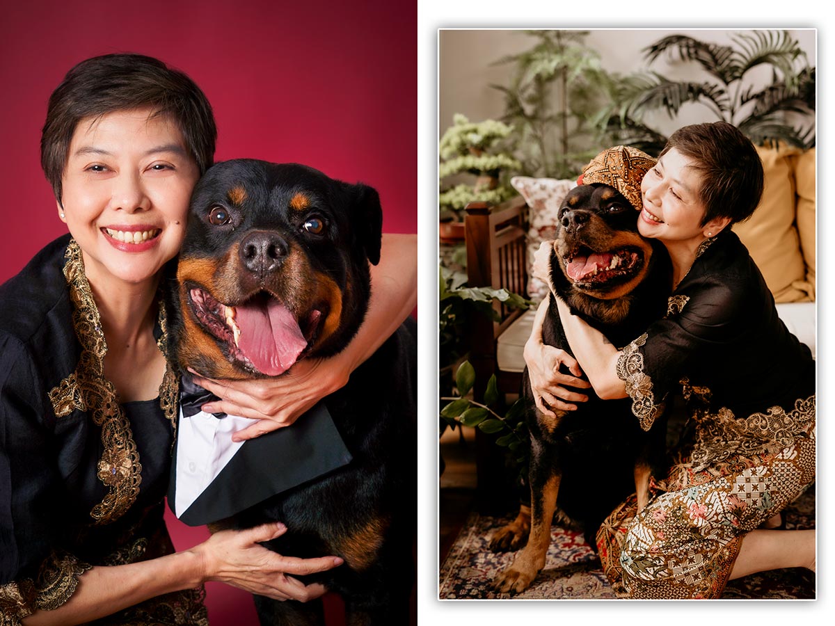 rottweiler pet dog photoshoot fengshui home