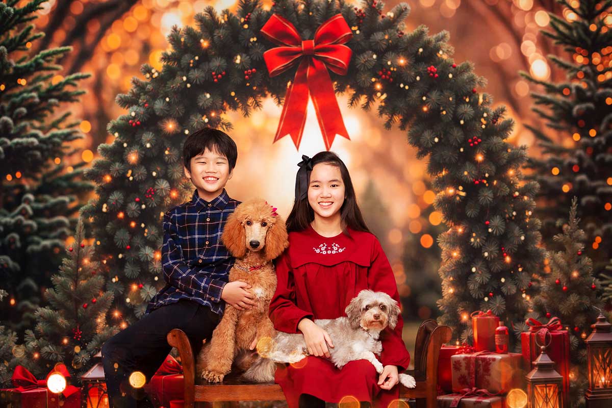pet friendly photography xmas Christmas mini session studio 2025